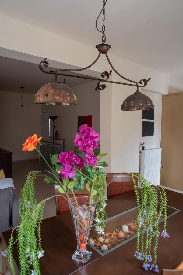 Holiday Lefkas Moonlight Luxury Appartments 니키아나 외부 사진